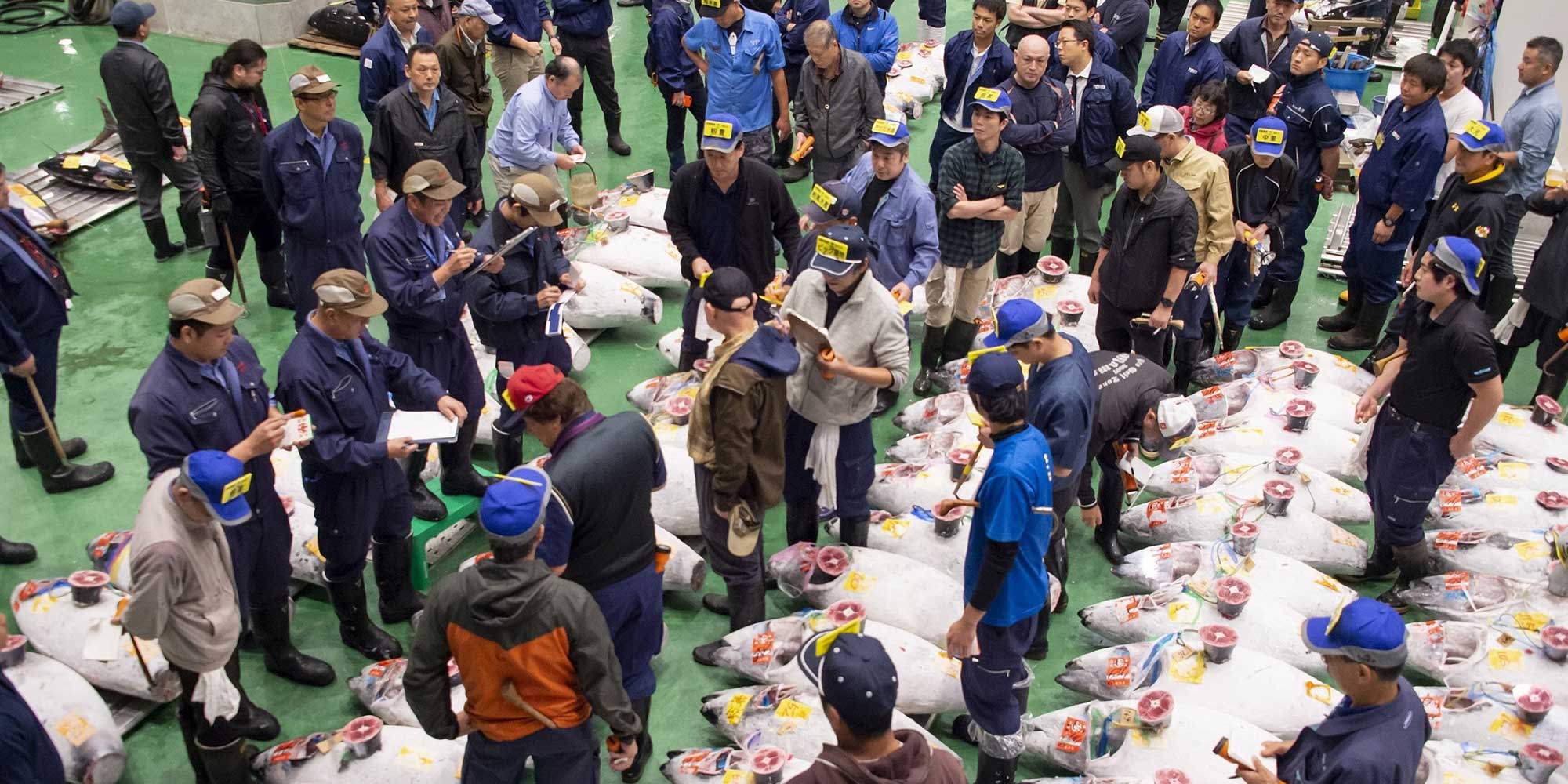 朝5時の豊洲市場へ。東京の食文化を支える現場を訪ねる
