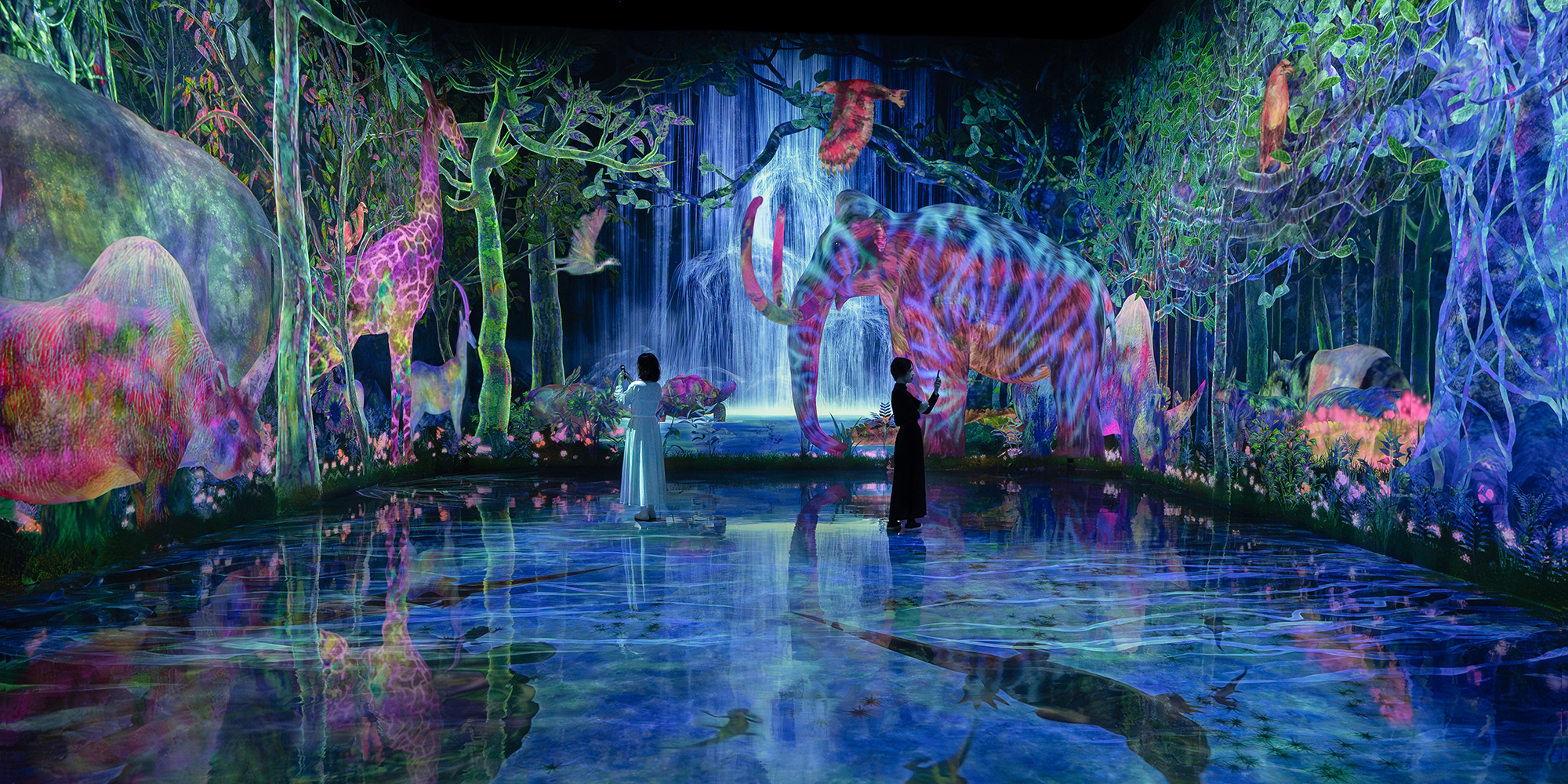 光と水、名画に包まれる夜。東京ベイエリアで体験する没入型アート