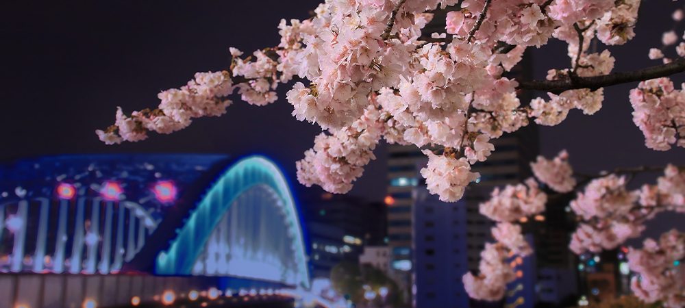 お花見クルーズ in Odaiba | エグゼクティブルーム・ファミリールーム・スイートルームをご予約のお客様限定体験