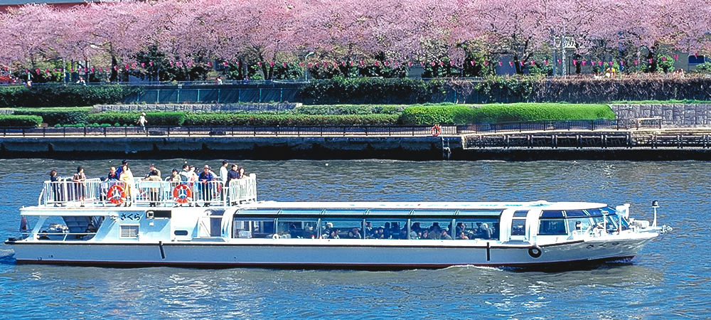 【1日30名限定】春ランチ＆お花見クルーズプラン