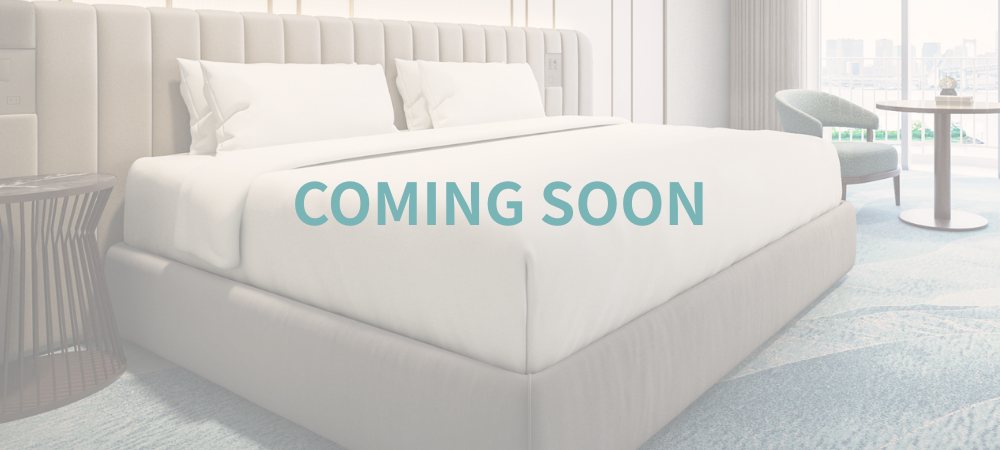 【新客室】デラックスプラスルーム